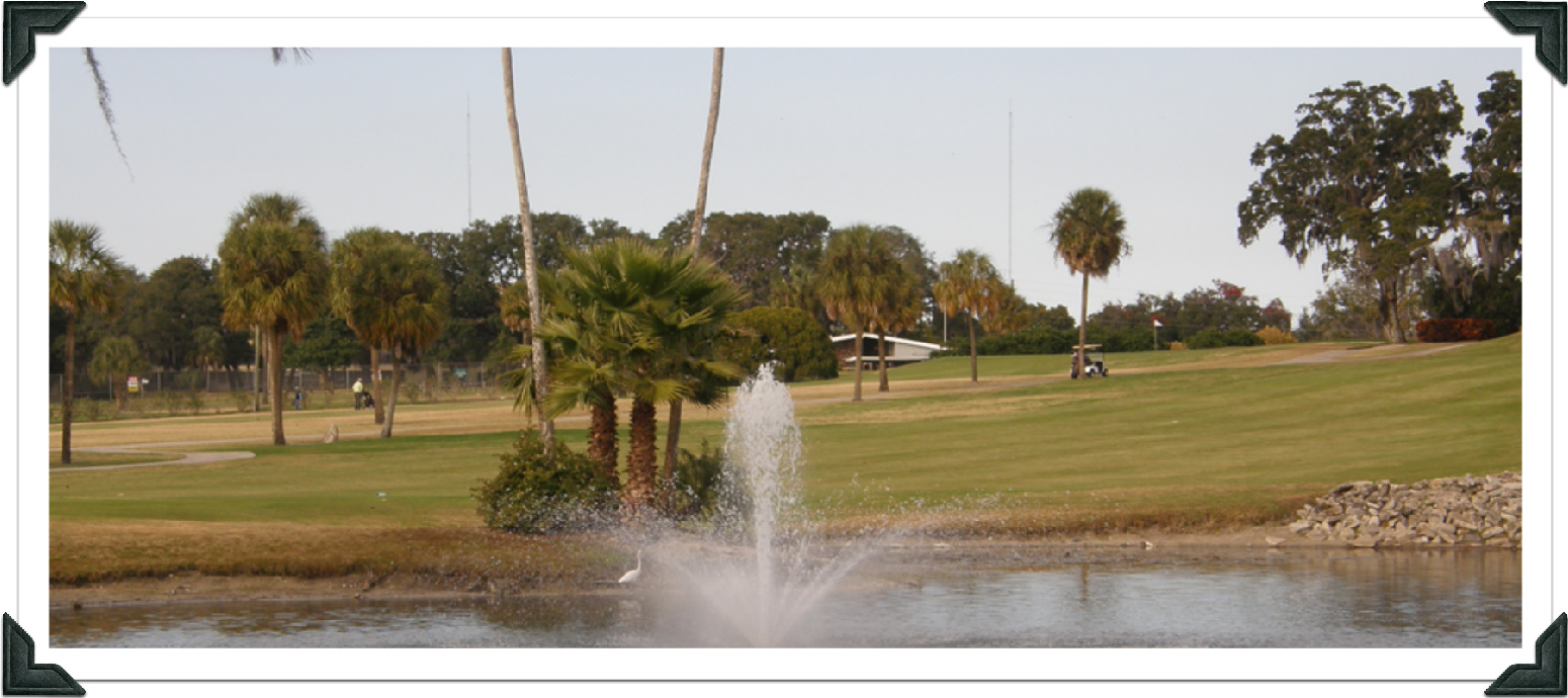 tarpon springs dating site For singles in tarpon springs, fl who are looking to find love, one of the best ways to meet new people is to join local online dating site like this. tarpon springs dating site For singles in tarpon springs, fl who are looking to find love, one of the best ways to meet new people is to join local online dating site like this.
