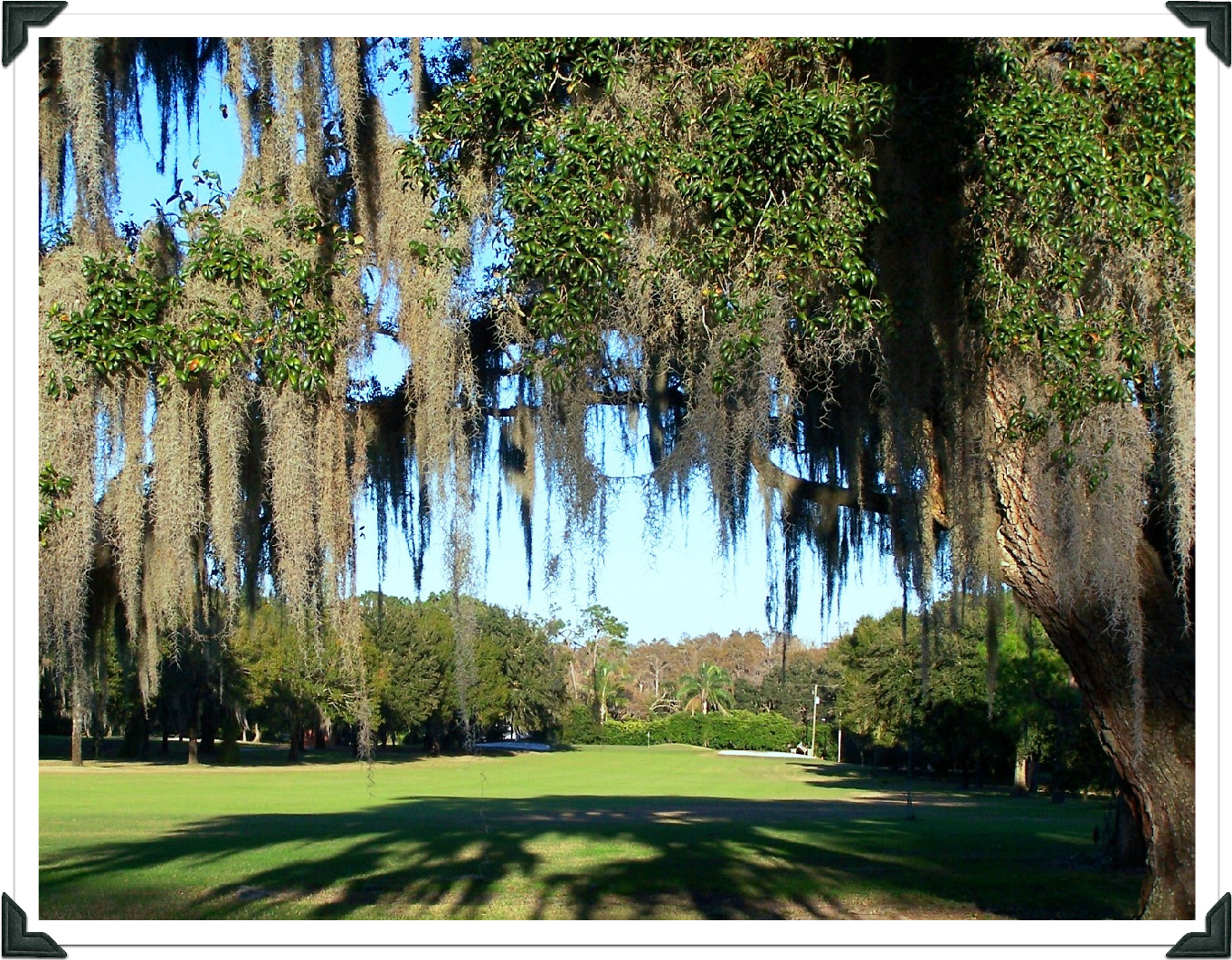 Florida Historic Golf Trail