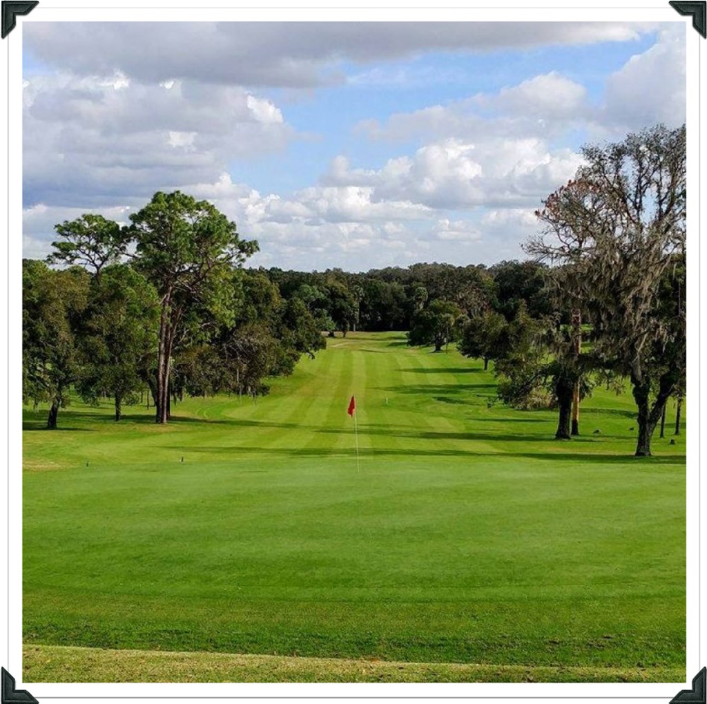 Mount Dora Golf Club, Mount Dora, Florida Golf course information and Mount Dora Golf Club, Mount Dora, Florida Golf course information and