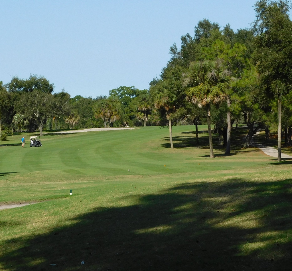 Home - The Dunedin Golf Club